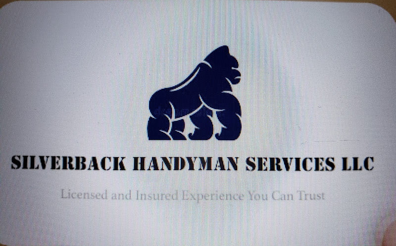 SILVERBACK HANDYMAN SERVICES LLC in ,